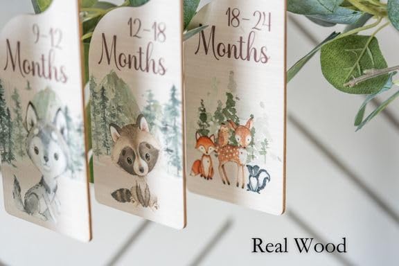 Baby Closet Dividers | Woodland Nursery Decor Closet Dividers for Baby Clothes | Hanging Wooden Baby Clothes Dividers for Closet | NB - 24 Month Size