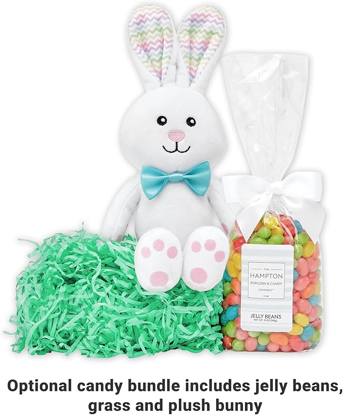 Let's Make Memories Personalized Easter Basket for Kids - For Boys - For Girls - Fillable - Easter Basket Stuffers - Oversized Plush Bunny - Blue