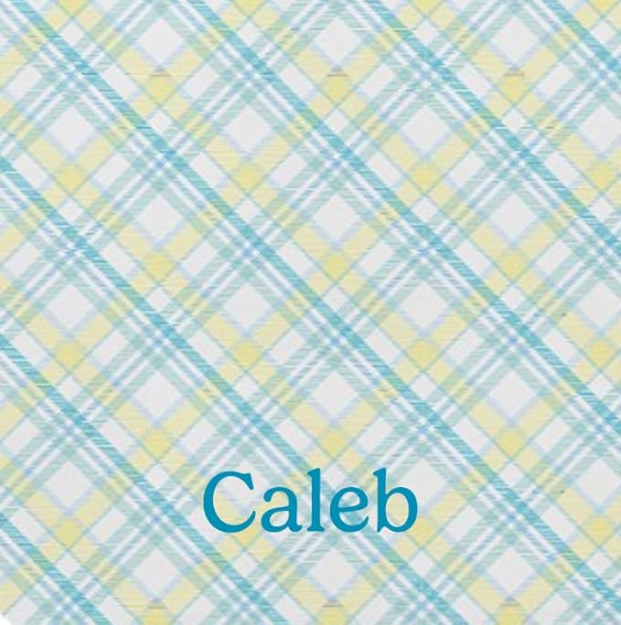 Let's Make Memories Personalized Easter Basket for Kids- For Boys - For Girls - Create Your Own - Fillable - Wicker - Easter Basket Stuffers - Small - Blue Fun Plaid