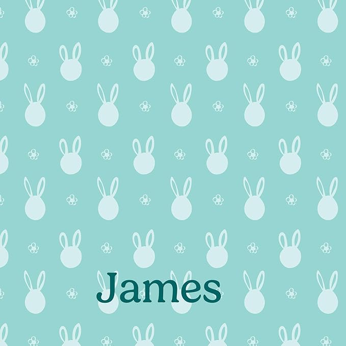 Let's Make Memories Personalized Easter Basket for Kids - For Boys - For Girls - Create Your Own - Fillable - Wicker - Easter Basket Stuffers - Small - Aqua Bunny Faces