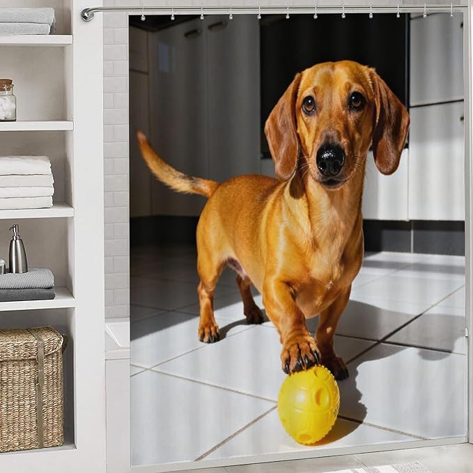4 Piece Bathroom Rug Set with Shower Curtain, Non-Slip Bath Mat Toilet Cover Set, Dachshund Running Bathroom Rug Sets