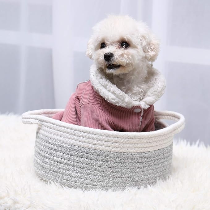 ABenkle Small Basket with Handles, Boho Decorative Rope Woven Dog Cat Toy Storage Bin Shelf Storage Organizer, Easter Christmas Gift Basket, 12"x8"x5"