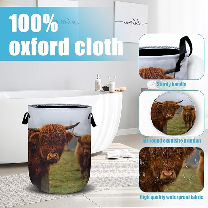 Highland Cow Laundry Basket, Laundry Hamper Collapsible Oxford Cloth with Handle Clothes Toy Storage Bin for Bathroom Laundry Room Bedroom 15.7 X 20 Inch