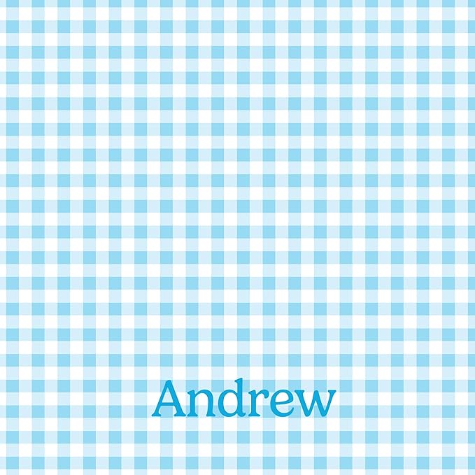 Let's Make Memories Personalized Easter Basket for Kids- For Boys - For Girls - Create Your Own - Fillable - Wicker - Easter Basket Stuffers - Small - Blue Spring Gingham