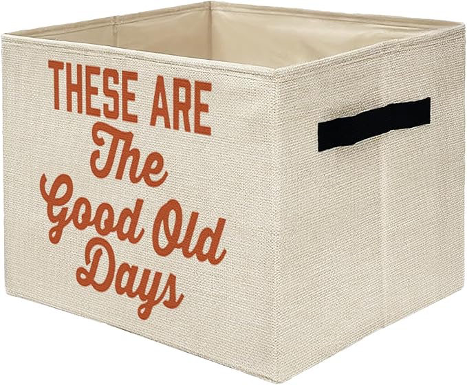 Inspirational Storage Bins Box, Toybox for Girls Boys, These Are the Good Old Days Positive Foldable Storage Baskets Organizer for Bedroom Bathroom Kids Room Clothes Toys Books