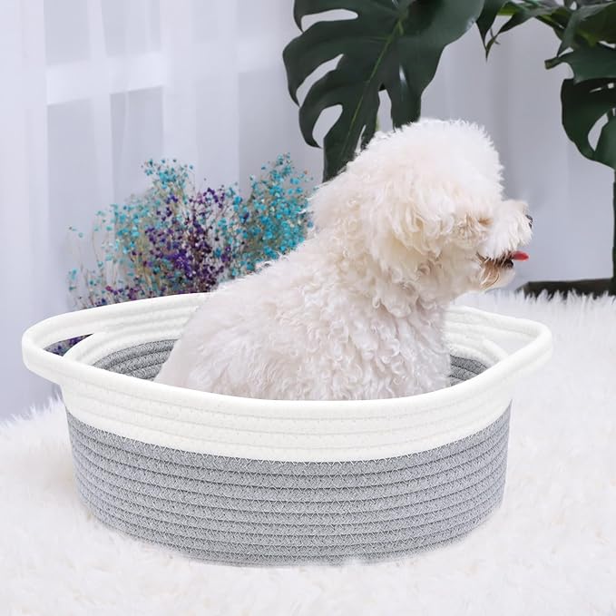 ABenkle Small Basket, 12"x 8" x 5" Cute Small Woven Basket, Rope Room Shelf Storage Basket, Cat Dog Toys Basket Chest Box, Decorative Empty Gift Basket with Handles - Grey