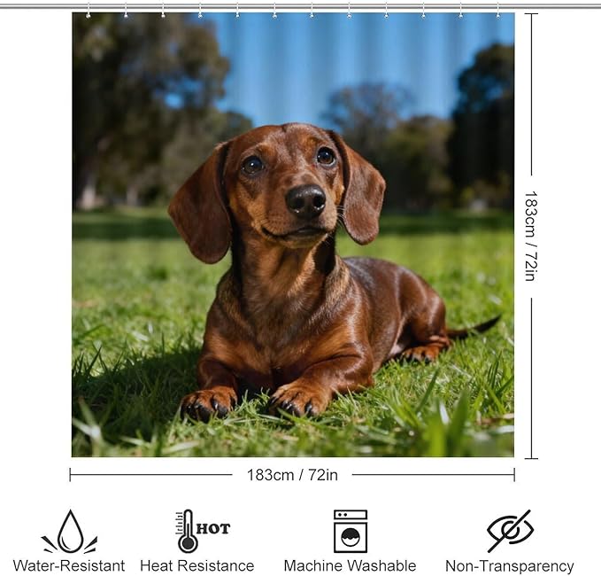 4 Piece Bathroom Rug Set with Shower Curtain, Non-Slip Bath Mat Toilet Cover Set, Dachshund Sitting Bathroom Rug Sets