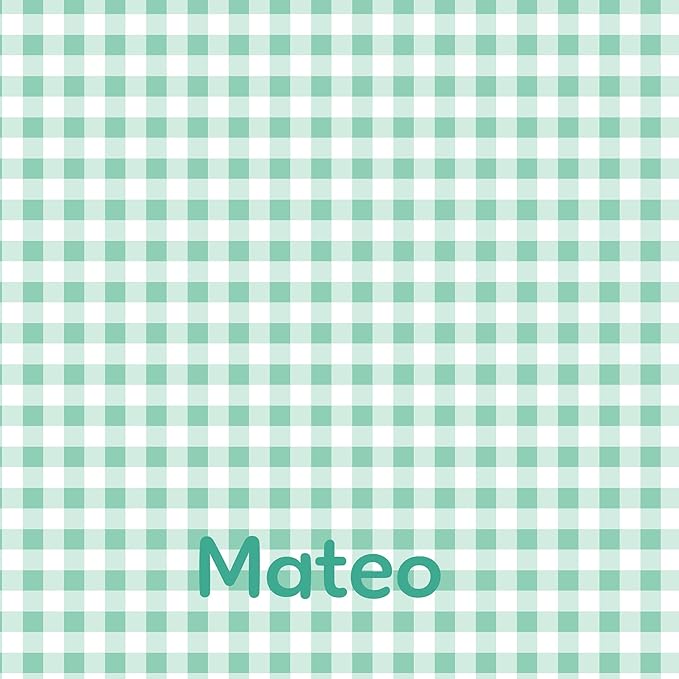 Let's Make Memories Personalized Easter Basket for Kids- For Boys - For Girls - Create Your Own - Fillable - Wicker - Easter Basket Stuffers - Small - Green Spring Gingham