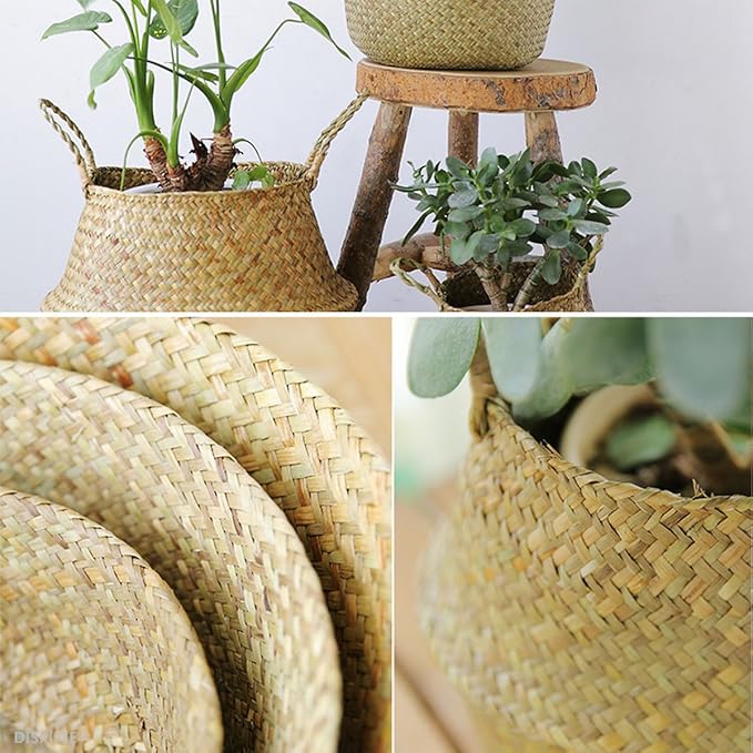 Extra Large Size(16x16x15 inches) Seagrass Belly Basket for Storage, Laundry, Picnic and Woven Straw Beach Bag - Plant Pots Cover Indoor Decorative