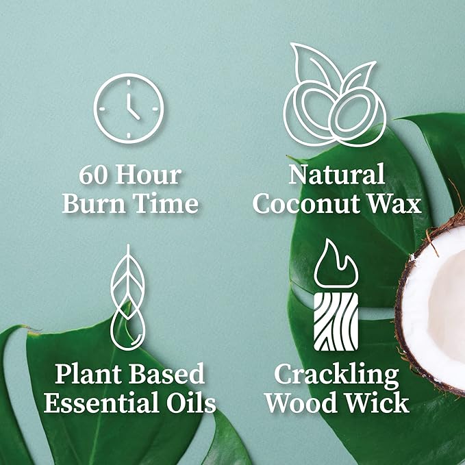 Hemlock Park Crackling Wood Wick Candle Handcrafted with Natural Coconut Wax (Standard 8 oz, Palo Santo Mountain Sage)