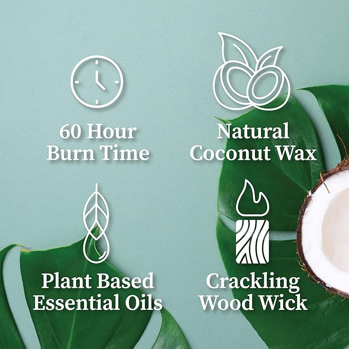 Hemlock Park Crackling Wood Wick Candle Handcrafted with Natural Coconut Wax (Standard 8 oz, Hinoki)