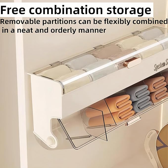 Underwear & Socks Drawer Organizer - Hanging Storage with 12 Adjustable Compartments Organizer,Plastic Organizer Box with Dividers,Space-Saving Design for Closet Door, Dorm, Apartment