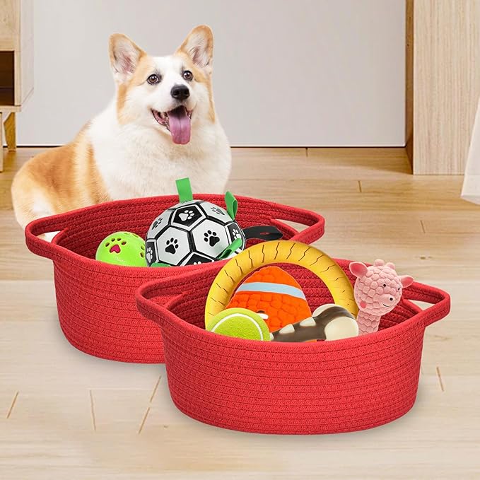 ABenkle Small Basket with Handles - Decorative Durable Rope Woven Storage Bin Shelf Storage Organizer Cube, Easter Baby Gift Basket, 12"x8"x5"