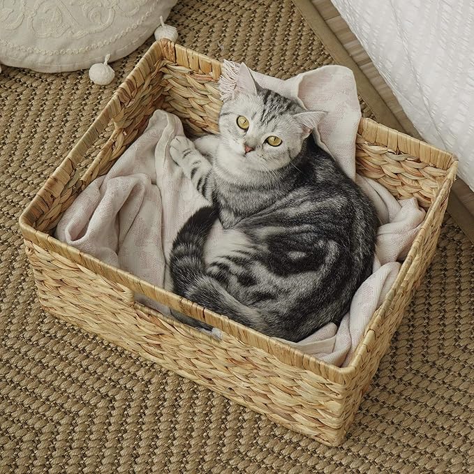 StorageWorks Extra Large Wicker Baskets for Organizing, Water Hyacinth Storage Basket with Built-in Handles, 1 Pack
